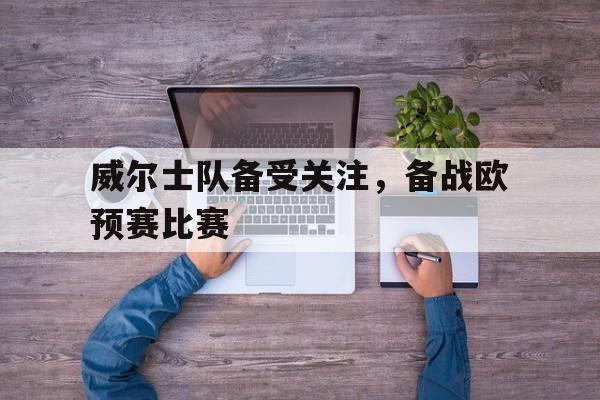 威尔士队备受关注,备战欧预赛比赛的简单介绍